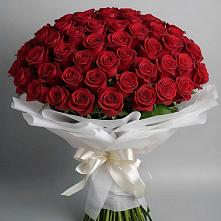 Букет 101 Красная роза Блэк Мэджик в Жуково