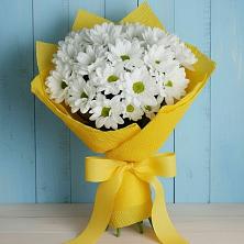 Букет цветов из:  Хризантемы в Жуково