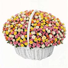 Премиум букет из: Розы в Жуково