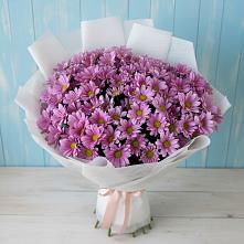 Букет цветов из:  Хризантемы в Жуково