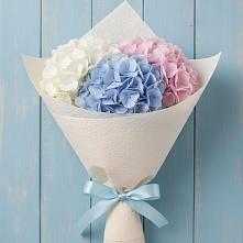 Букет цветов из:  Гортензия в Жуково