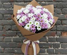 Букет цветов из:  Хризантемы в Жуково