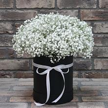 Цветочная композиция из Гипсофила в шляпной коробке в Жуково