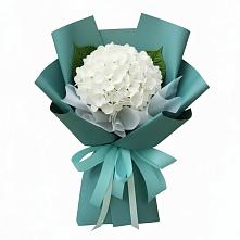 Букет цветов из:  Гортензия #REPLACE_PRED# Жуково